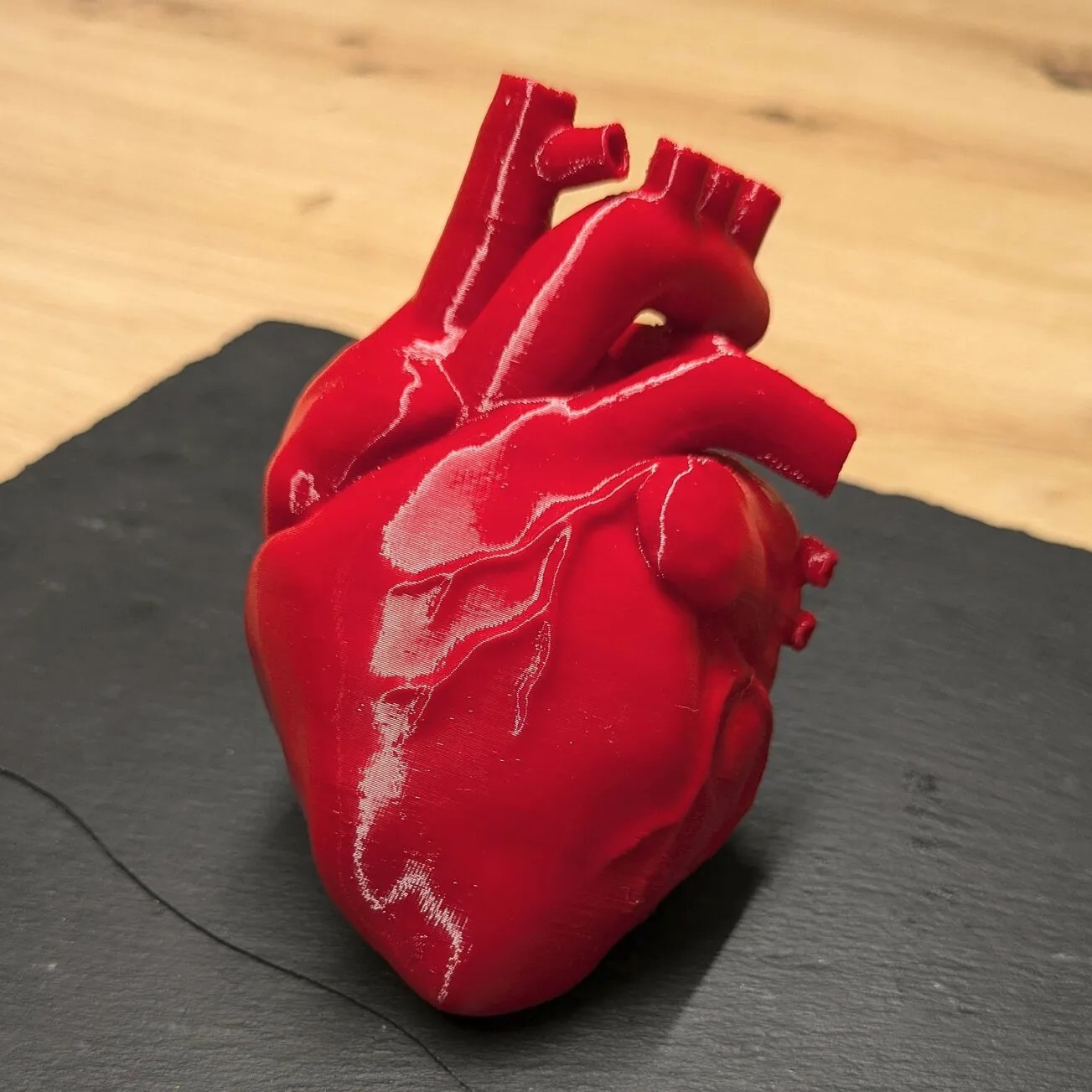 مدل قلب آناتومی